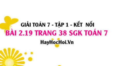 Giải bài 2.19 trang 38 Toán 7 Tập 1 SGK Kết nối tri thức